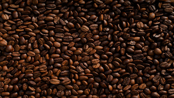 indianfiltercoffee beans indianfiltercoffee beans