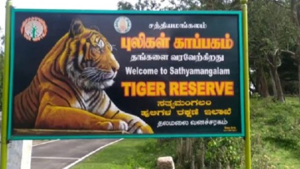 sathiyamangalwildlifesanctuary1 sathiyamangalwildlifesanctuary1