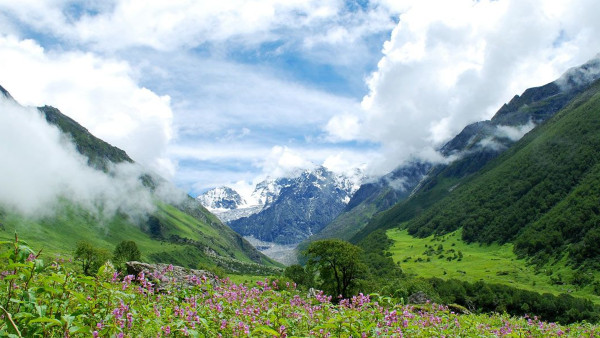 thevalleyofflowers1 thevalleyofflowers1