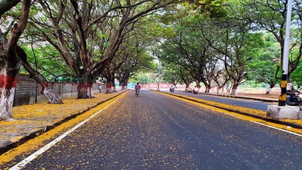 banglore travel list banglore travel list
