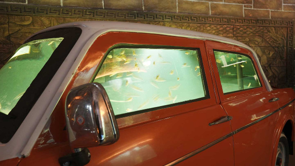 Do You Know India s Largest Public Aquarium