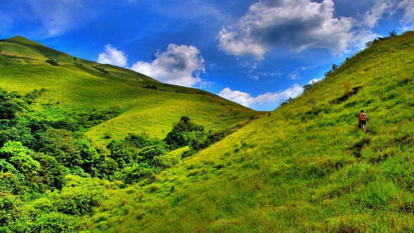 coorg coorg