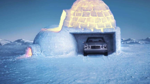 stayinanigloo1 stayinanigloo1