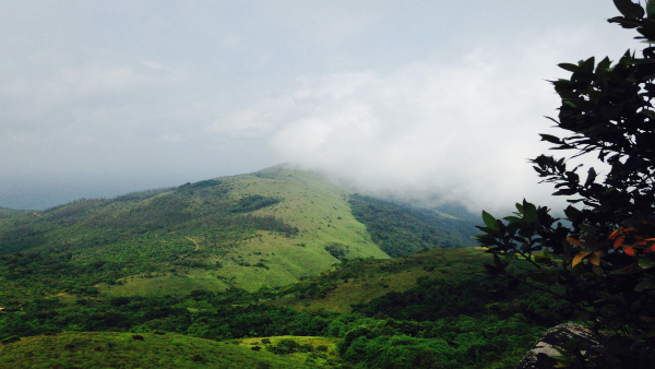 tadiyandamolpeak tadiyandamolpeak