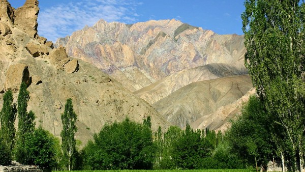 Hemis National Park Ladakh