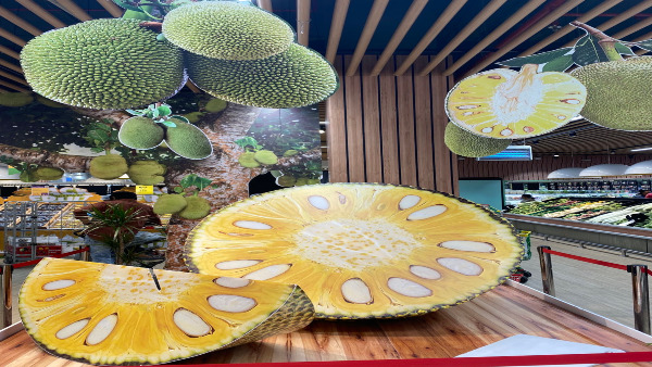 jackfruitfestivalheldinpanruti