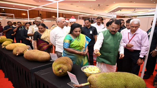 jackfruitfestivalheldinpanruti