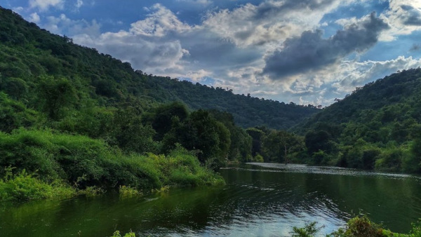 Kalvarayan Hills Kalvarayan Hills