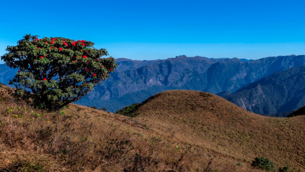 mukurthinationalpark1