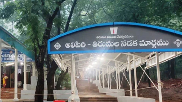 divya darshan tickets from srivari mettu