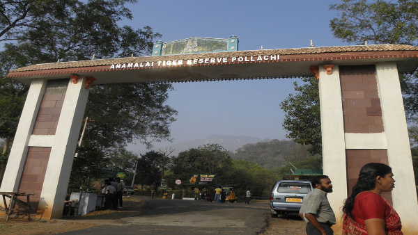 Anamalai Tiger Reserve