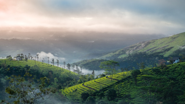 Idukki