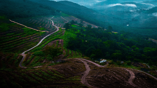vagamon vagamon