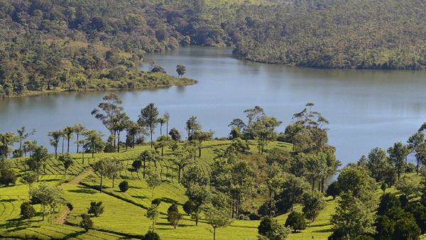 Thekkady Thekkady