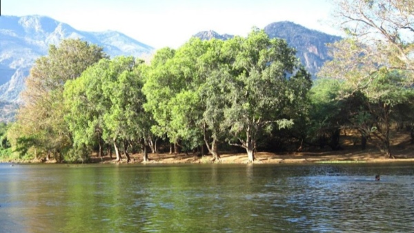 Thengumarahada