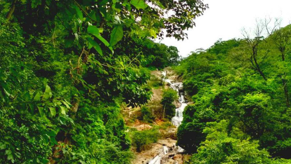 Vaidehi Falls Vaidehi Falls