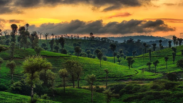 Valparai Valparai