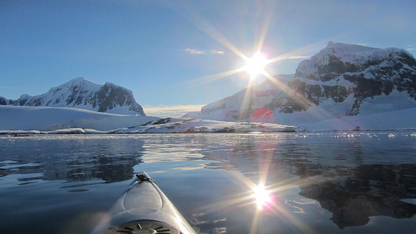 antarctic