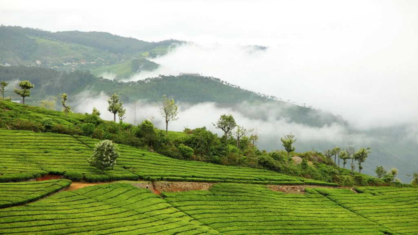 Coonoor Coonoor