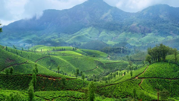 Devikulam Devikulam