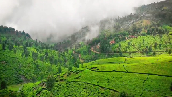 ooty hill station ooty hill station