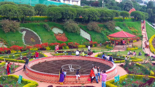 Rose garden