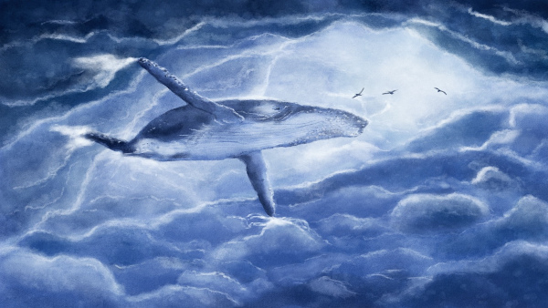 Sperm Whale