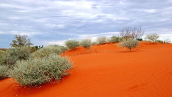 desert-like regions in tamil nadu desert-like regions in tamil nadu