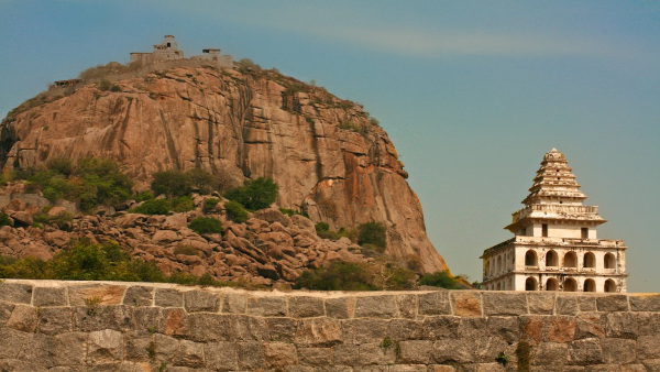 gingeefort