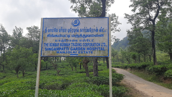manjolai tea estate
