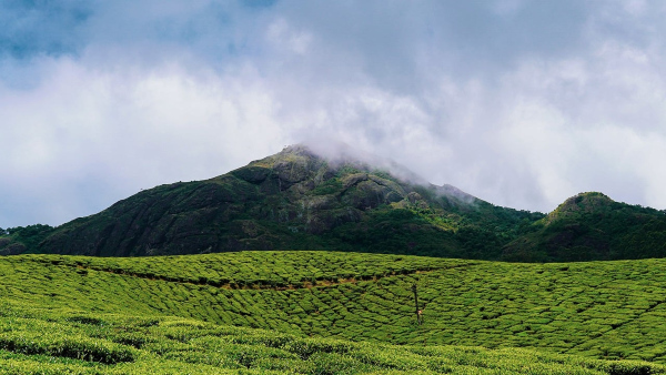 green tourism destinations in kerala green tourism destinations in kerala