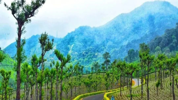 Valparai