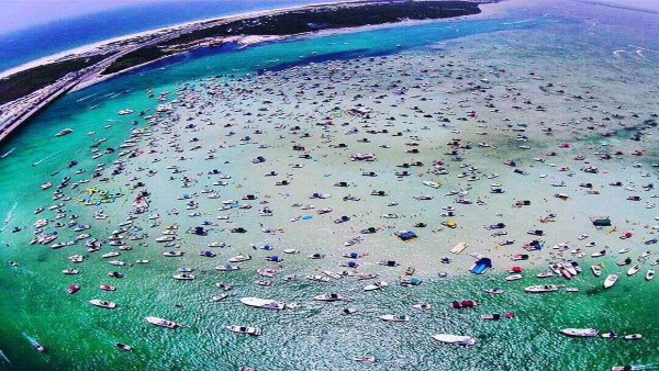 crab island crab island