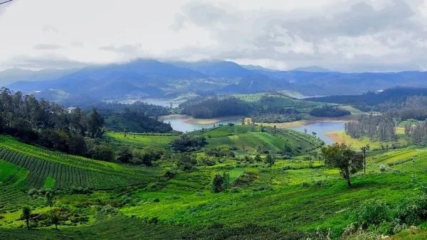 Ooty Ooty