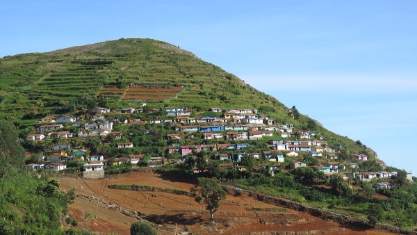 Masinagudi