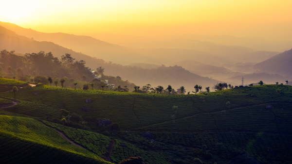 Munnar Munnar