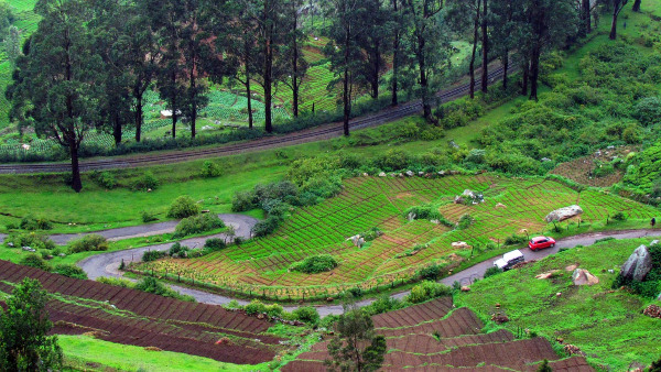 Ooty Ooty