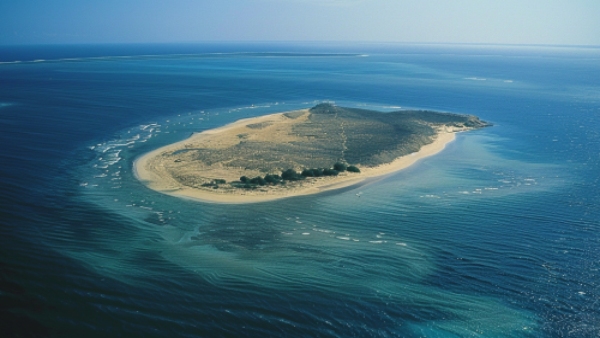 Island Island