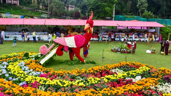Kodaikanal Kodaikanal