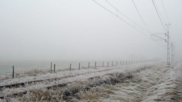 Frost Frost