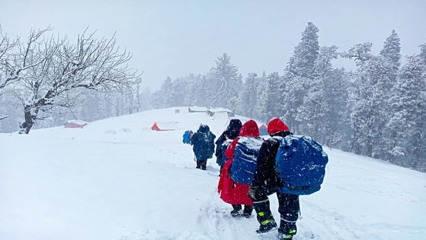 Snow Trekking