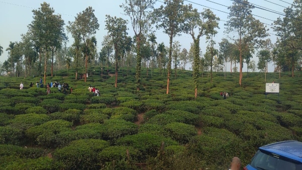 Hill station