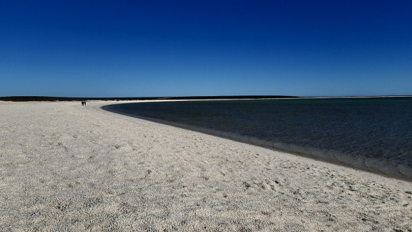 Shell Beach Australia