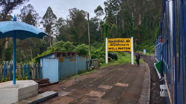 Wellington Nilgiri