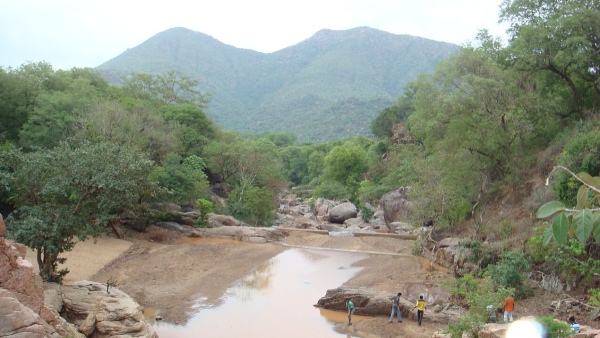 Amitithi Forest Falls