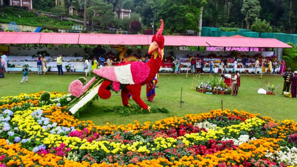 Kodaikanal Kodaikanal