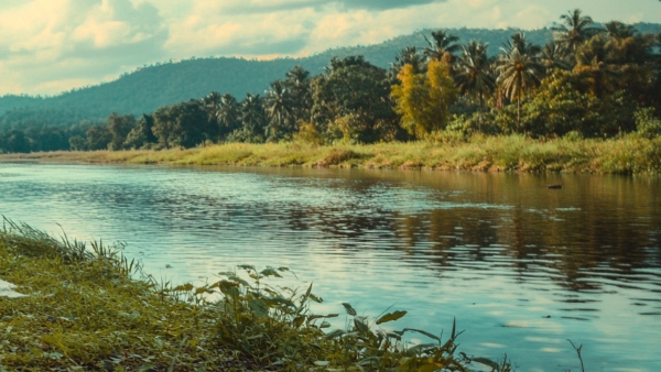 River River