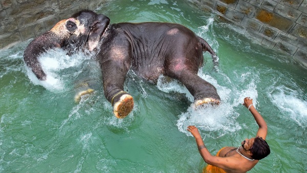 Summer Vacation in Trichy