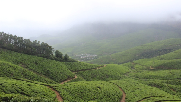 Kolukkumalai