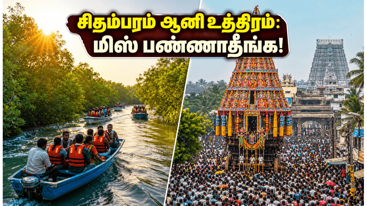 சிதம்பரம் ஆனி உத்திரம்: மகா ரத தரிசனம் மற்றும் பிச்சாவரம் படகு சவாரி - இந்த வார இறுதியில் இப்படி ஒரு ட்ரிப் போயிருக்கீங்களா?